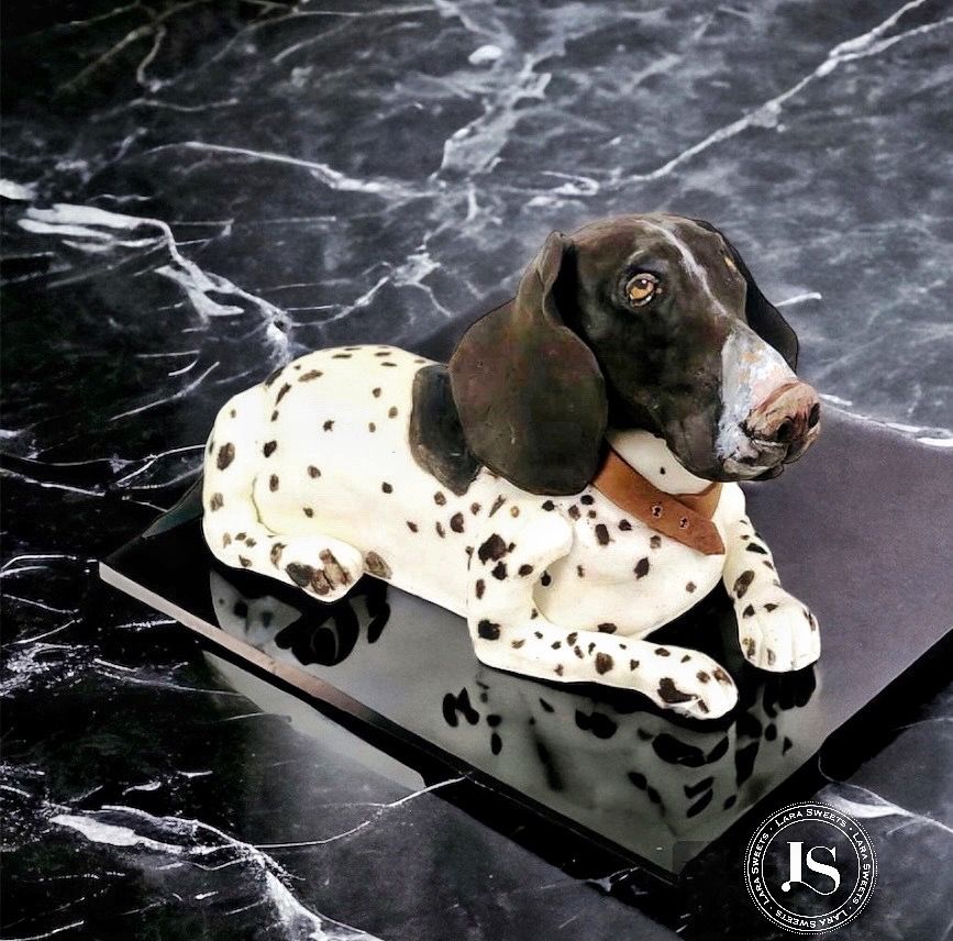 Tort iluzie Catel