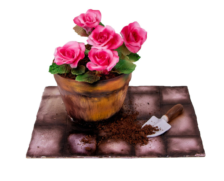 Tort Illusion Flowers