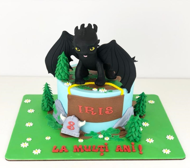 Tort How to Train Your Dragon
